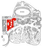 illus3311_plan_800.jpg