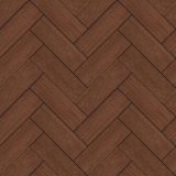 059_sapelliray_br.jpg