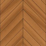 044_platane.jpg