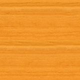 Filename=034hemlock.jpg
Filesize=37KB
Dimensions=512x512
Date added=Aug 19, 2008 034hemlock.jpg