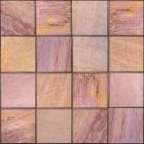 035inde_panthereLeger.jpg