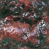 flesh009.jpg