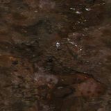 cave005.jpg