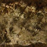 cave015.jpg