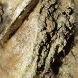 cave019.jpg