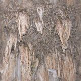cave032.jpg