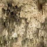 cave045.jpg