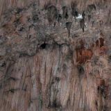 cave047.jpg