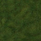 Filename=herbe_3.jpg
Filesize=40KB
Dimensions=512x512
Date added=Aug 19, 2008 herbe_3.jpg