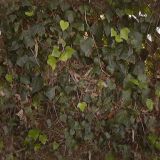 nature071.jpg