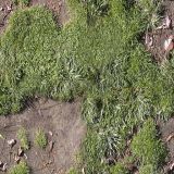 nature079.jpg