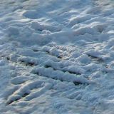 Filename=001_neige.jpg
Filesize=40KB
Dimensions=512x512
Date added=Aug 19, 2008 001_neige.jpg