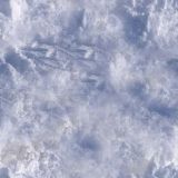 Filename=014_neige.jpg
Filesize=28KB
Dimensions=512x512
Date added=Aug 19, 2008 014_neige.jpg