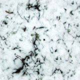 Filename=028_neige.jpg
Filesize=70KB
Dimensions=512x512
Date added=Aug 19, 2008 028_neige.jpg