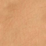 skin01.jpg