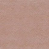 skin03.jpg