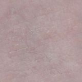 skin043.jpg