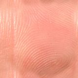 skin048.jpg