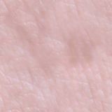 Filename=skin10.jpg
Filesize=11KB
Dimensions=512x512
Date added=Aug 19, 2008 skin10.jpg