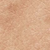 Filename=skin17.jpg
Filesize=62KB
Dimensions=512x512
Date added=Aug 19, 2008 skin17.jpg