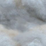 f025lapin.jpg