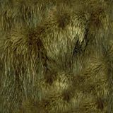 Filename=f030ours.jpg
Filesize=65KB
Dimensions=512x512
Date added=Aug 19, 2008 f030ours.jpg