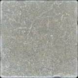 064_senauxgris.jpg