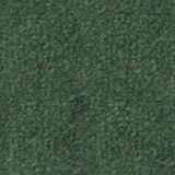 mq077_champvert.jpg