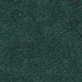 mq089_foret.jpg