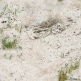 sand_009.jpg