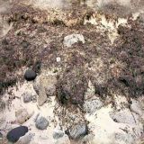sand_012.jpg