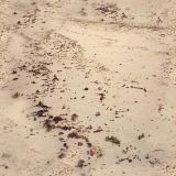 sand_036.jpg