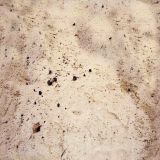 sand_044.jpg
