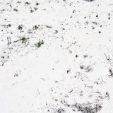 sand_063.jpg