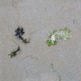 sand_070.jpg