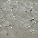 sand_095.jpg