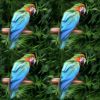 Filename=sabie_parrot_map_special.jpg
Filesize=72KB
Dimensions=512x512
Date added=Sep 26, 2008 sabie_parrot_map_special.jpg