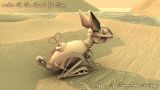 noah_ark_080_800.jpg